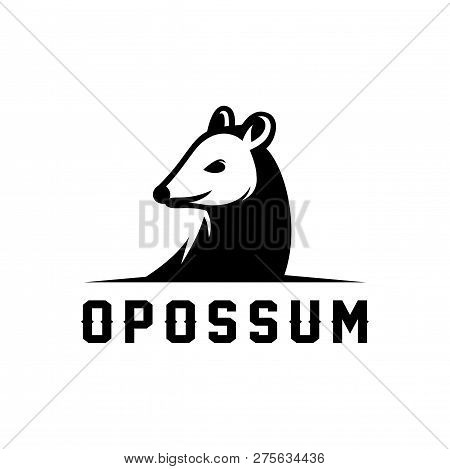 Opossum Vector Illustration Logo Design Template Isolated On White Background