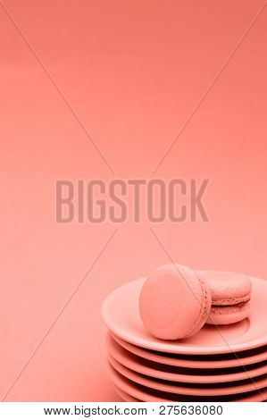 There Is A Place For Text. Photo In The Color Of The Year 2019 Coral Color.