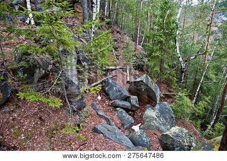 Large Stones Of Rocks At Wet Forest In Carpathian Mountains.