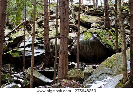 Dovbush Rocks In Green Forest At Carpathian Mountains.