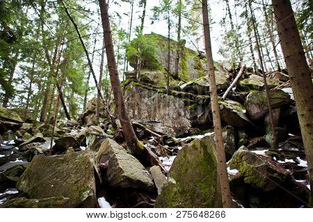 Dovbush Rocks In Green Forest At Carpathian Mountains.