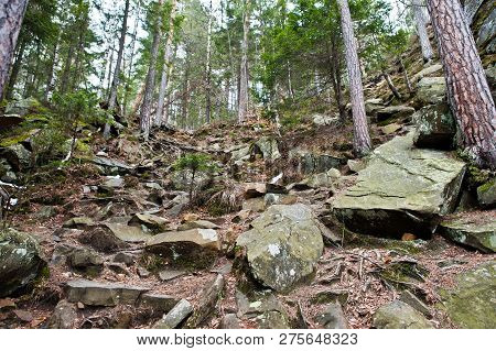 Dovbush Rocks In Green Forest At Carpathian Mountains.