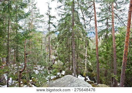 Dovbush Rocks In Green Forest At Carpathian Mountains.