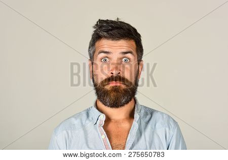 Bearded Man Looking Skeptic Raising Eyebrows. Earnest Expression. Thinking Man With Beard And Mustac