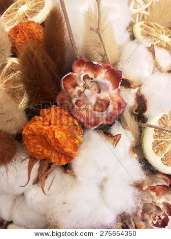 Autiful Festive Christmas Composition, Cotton, Cinnamon, Lime In A Box. Natural And Organic Christma