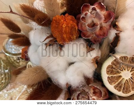 Autiful Festive Christmas Composition, Cotton, Cinnamon, Lime In A Box. Natural And Organic Christma