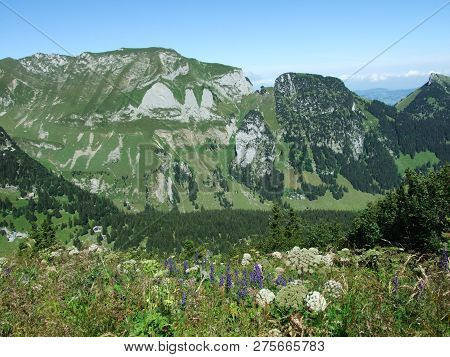 View To The Peaks Fahlenalp Over The Fahlensee Lake In The Mountain Mass Alpstein - Canton Of Appenz