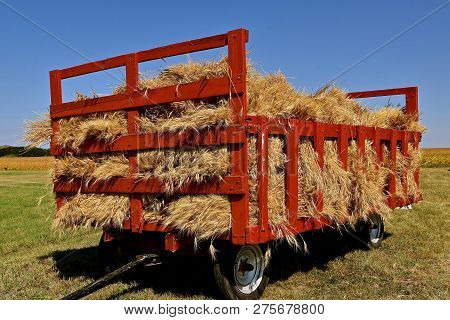 A Red Wooden Hayrack Is Loaded With Wheat Bundles To Be Sent Through An Old-fashioned  Threshing Mac