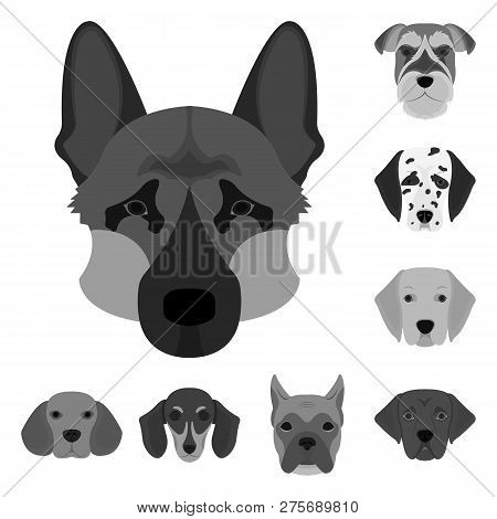 Vector Design Of Cute And Puppy Logo. Set Of Cute And Animal Stock Vector Illustration.