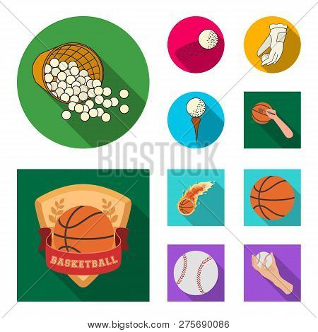 Isolated Object Of Ball And Soccer Icon. Set Of Ball And Basketball Stock Vector Illustration.