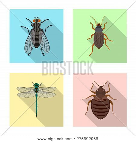 Isolated Object Of Insect And Fly Symbol. Set Of Insect And Element Vector Icon For Stock.