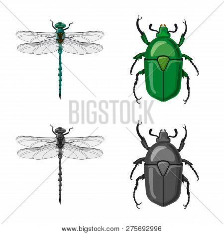 Vector Design Of Insect And Fly Symbol. Set Of Insect And Element Stock Symbol For Web.