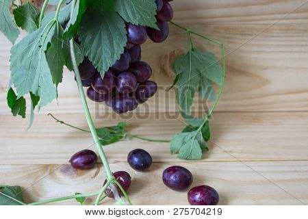 Bunches Of Fresh Ripe Red Grapes On A Wooden Background. Ancient Grapes. Red Wine Grapes. Dark Grape