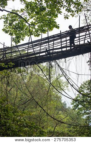 Meghalaya, India - May 14, 2017: Unidentified Khasi man walk on the famous living roots bridge near Nongriat village, Cherrapunjee, Meghalaya, India.
