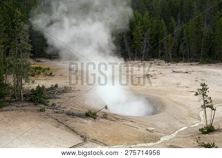 Sulphur Cauldron Bubbling And Steaming In Yellostone National Park, Wyoming
