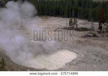 Sulphur Cauldron Bubbling And Steaming In Yellostone National Park, Wyoming