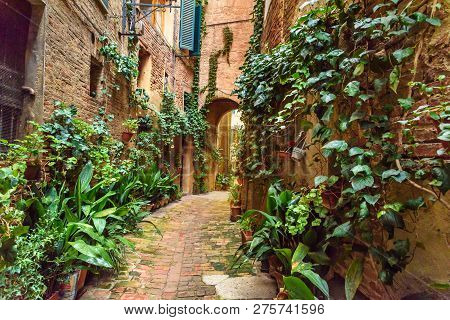 Medieval Narrow Street Vicolo Degli Orefici In Old City Siena, Tuscany, Italy.