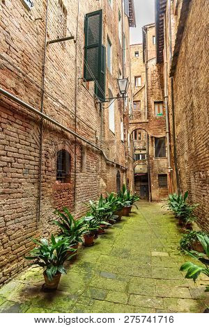 Medieval Narrow Street Vicolo Degli Orefici In Old City Siena, Tuscany, Italy.