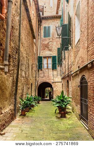 Medieval Narrow Street Vicolo Degli Orefici In Old City Siena, Tuscany, Italy.