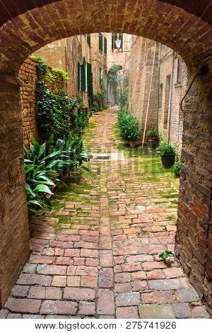 Medieval Narrow Street Vicolo Degli Orefici In Old City Siena, Tuscany, Italy.