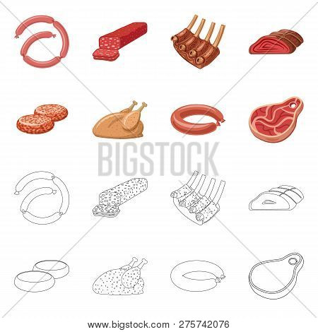 Vector Design Of Meat And Ham Icon. Set Of Meat And Cooking Vector Icon For Stock.