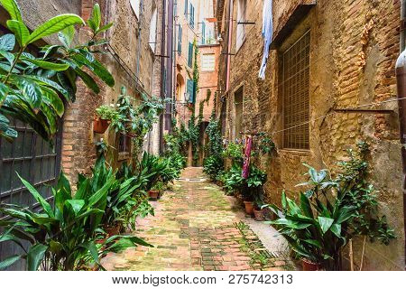 Medieval Narrow Street Vicolo Degli Orefici In Old City Siena, Tuscany, Italy.