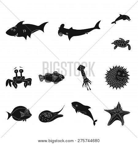 Isolated Object Of Sea And Animal Symbol. Collection Of Sea And Marine Stock Symbol For Web.