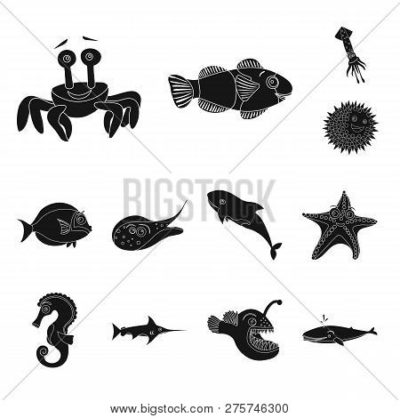 Isolated Object Of Sea And Animal Icon. Collection Of Sea And Marine Vector Icon For Stock.