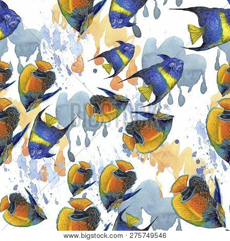 Watercolor Aquatic Underwater Colorful Tropical Fish Illustration Set. Seamless Background Pattern.