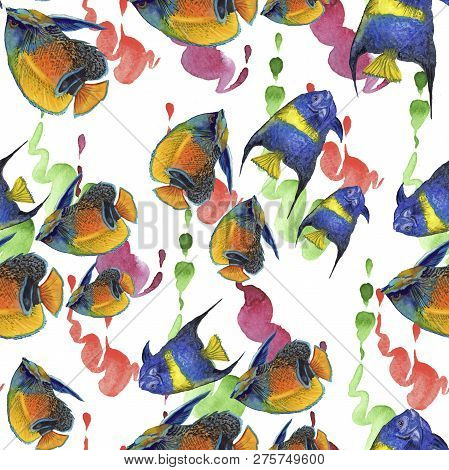 Watercolor Aquatic Underwater Colorful Tropical Fish Illustration Set. Seamless Background Pattern.