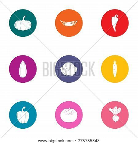 Dill Icons Set. Flat Set Of 9 Dill Icons For Web Isolated On White Background