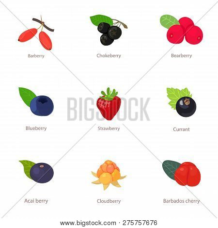 Berry Variety Icons Set. Cartoon Set Of 9 Berry Variety Icons For Web Isolated On White Background