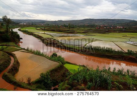 Landscape With The Rice Fields And Onive River At Antanifotsy In Madagascar