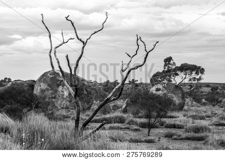 Devils Marbles (karlu Karlu) Conservation Reserve, Northern Territory, Australia
