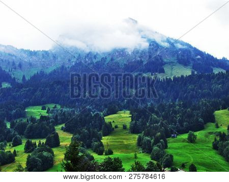 Subalpine Forests In The Ostschweiz Region - Canton Of Appenzell Ausserrhoden, Switzerland