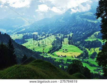Subalpine Forests In The Ostschweiz Region - Canton Of Appenzell Ausserrhoden, Switzerland