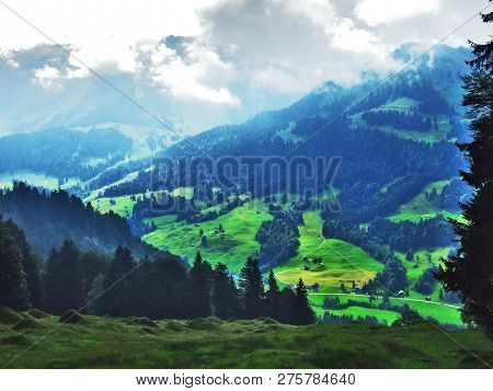Subalpine Forests In The Ostschweiz Region - Canton Of Appenzell Ausserrhoden, Switzerland