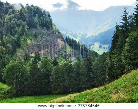 Subalpine Forests In The Ostschweiz Region - Canton Of Appenzell Ausserrhoden, Switzerland