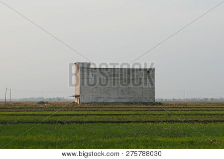 Building Of Edible Swiftlet Bird's Nests To Attract Birds To Come And Breed At The Middle Of Paddy F