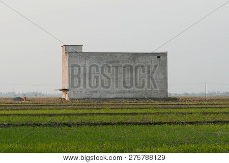 Building Of Edible Swiftlet Bird's Nests To Attract Birds To Come And Breed At The Middle Of Paddy F