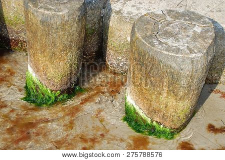 Coast Protection At The Baltic Sea (darss, Western Beach, Germany): Groynes. In The Ocean, Groynes C