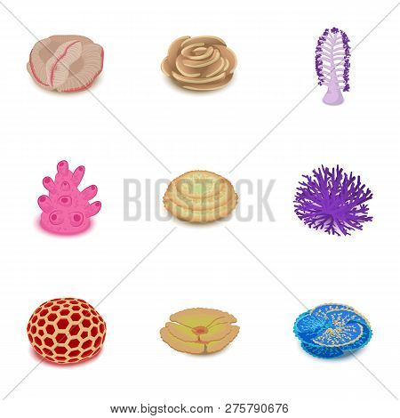 Deepwater Icons Set. Isometric Set Of 9 Deepwater Icons For Web Isolated On White Background