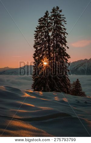 The Setting Sun Shines Through A Pair Of Fir Trees, Casting Orange Light And Long Shadows Onto A Sno
