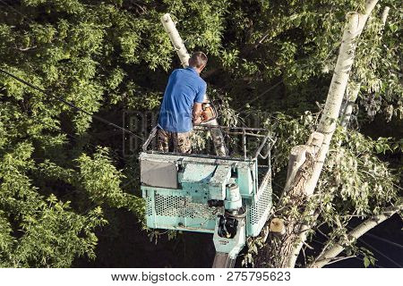 Tree Pruning And Sawing By A Man With A Chainsaw, Standing On A Platform Of A Mechanical Chair Lift,