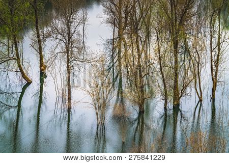 Green And Yellow Autumn Trees Reflected In The Shallow Shore Waters Of The Skadar Lake, Skadar Lake 