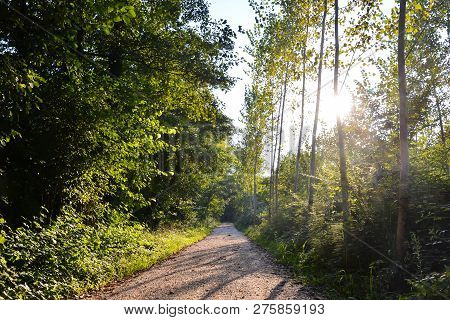 Photo Picture Of A Countryside Desert Dirt Path