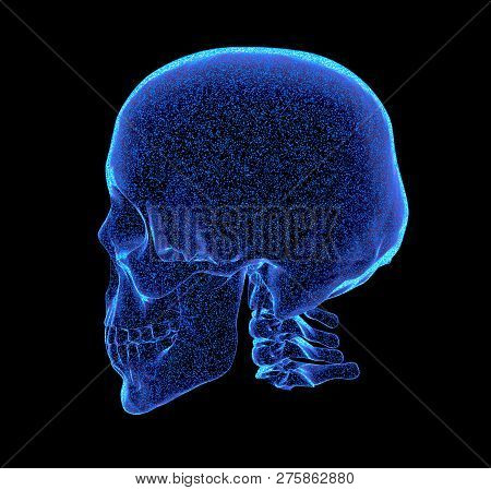 Rendered Bluish X-ray Image Of Human Skull - Oblique Projection, 3d Illustration