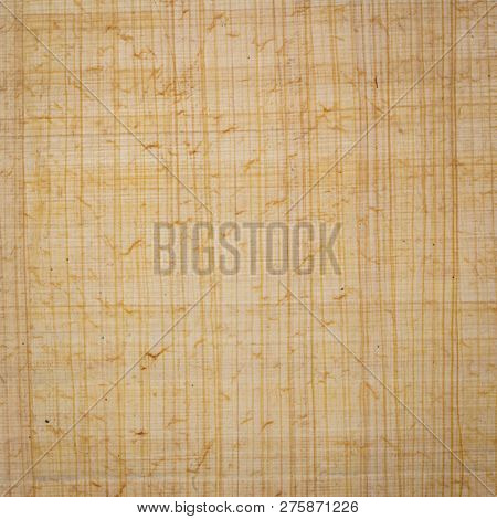 Egyptian papyrus paper background. Papyrus, a renewable plant resource, is the oldest writing material in existence today, dating back at least 5,000 years.
