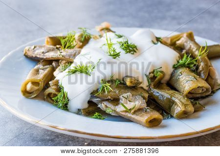 Turkish Food Broad Beans With Yogurt, Dill And Olive Oil / Zeytinyagli Bakla.