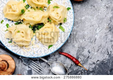 Homemade Meat Dumplings